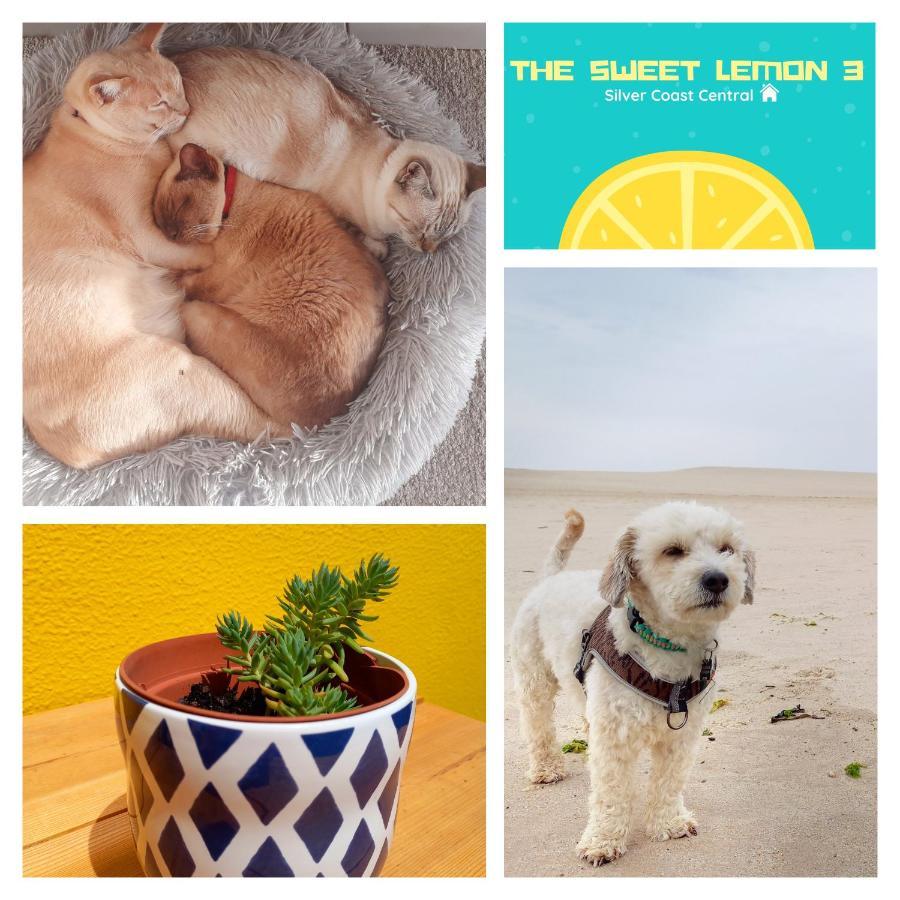 The Sweet Lemon 3 Appartement Bombarral Buitenkant foto